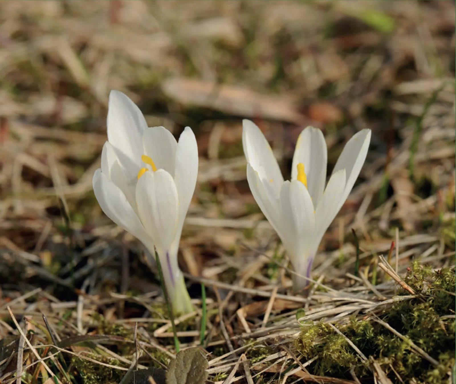 Stránka_007_PP Farska louka 1