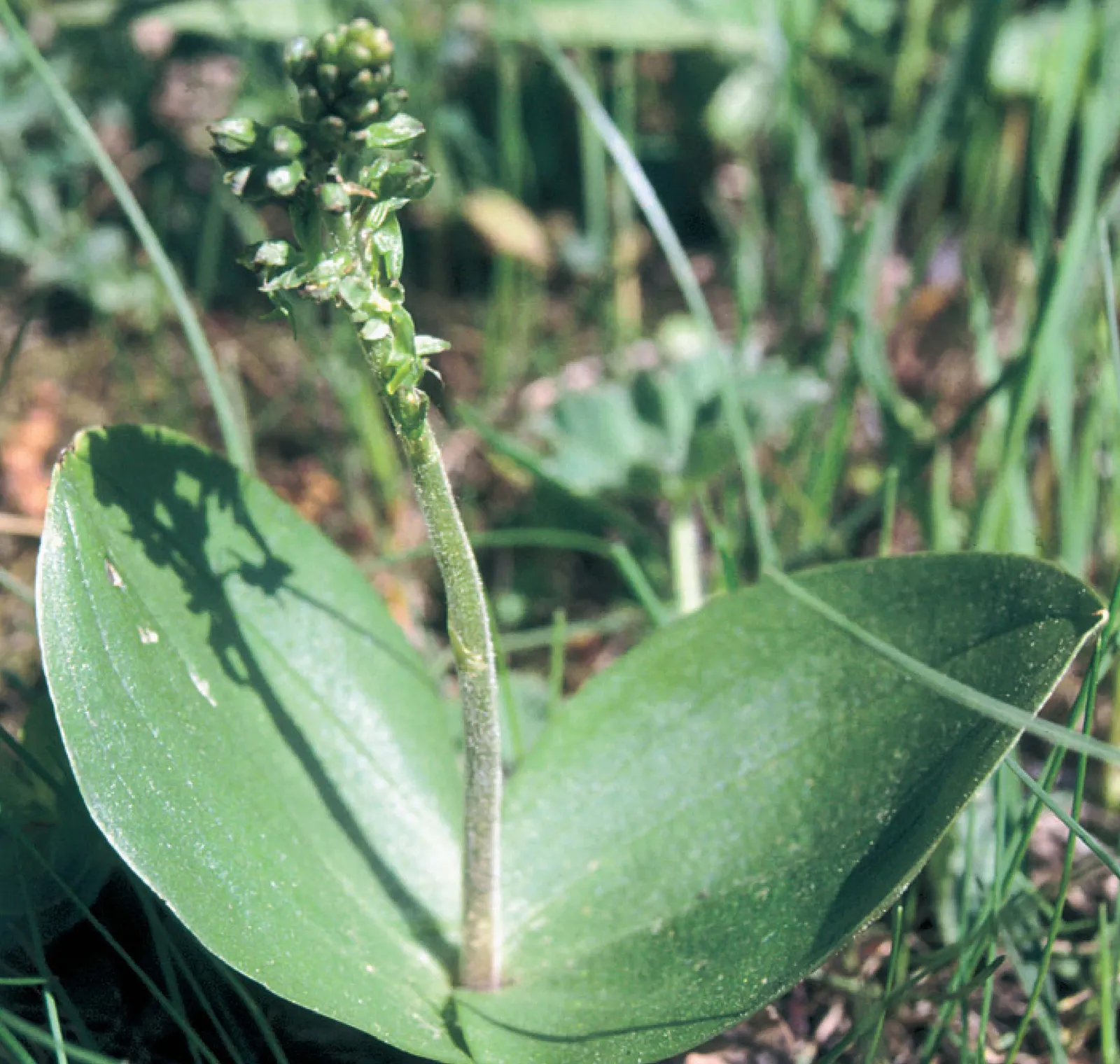 Stránka_011_PP Cerny dul 1