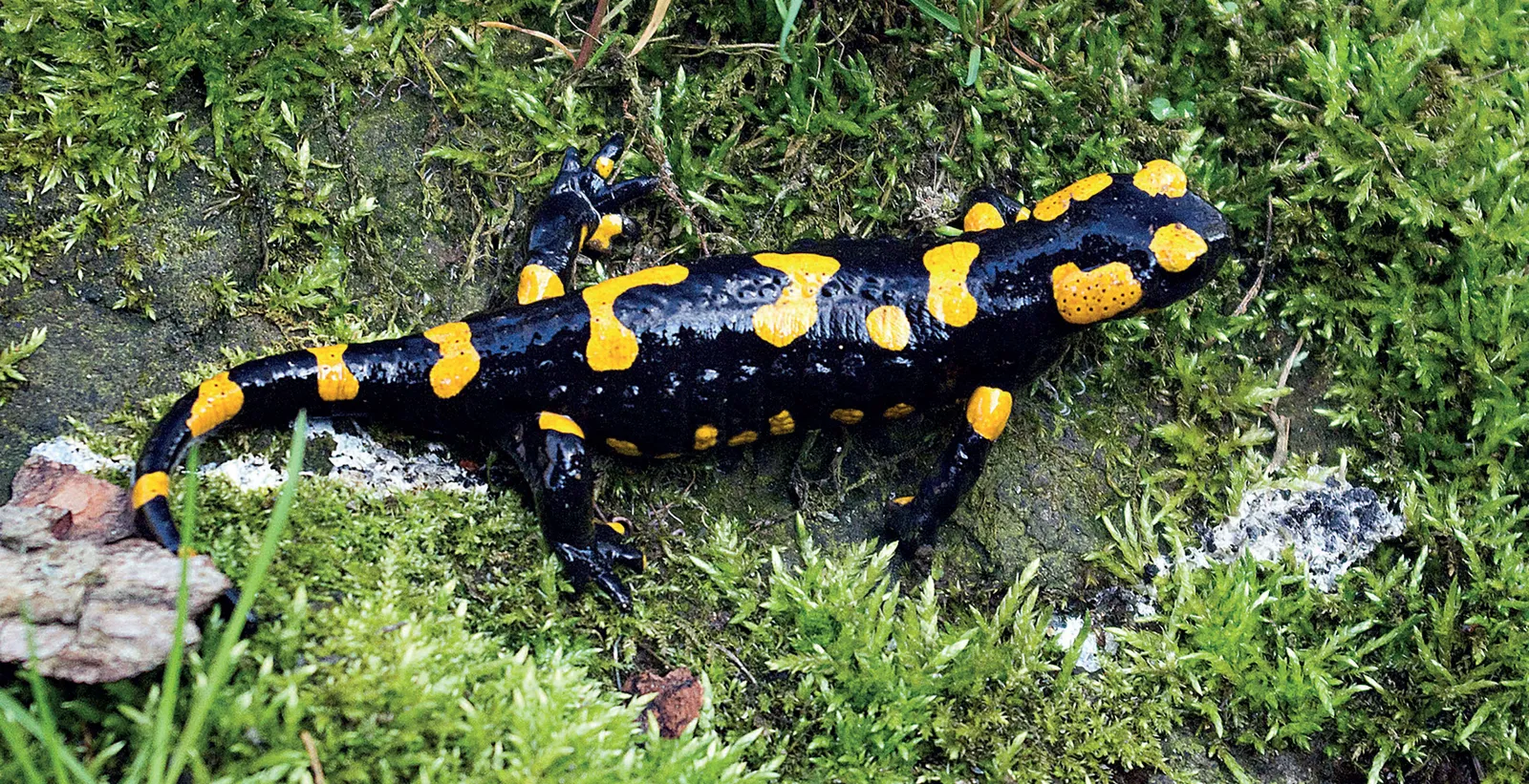 Stránka_011_PP Cerny dul 2