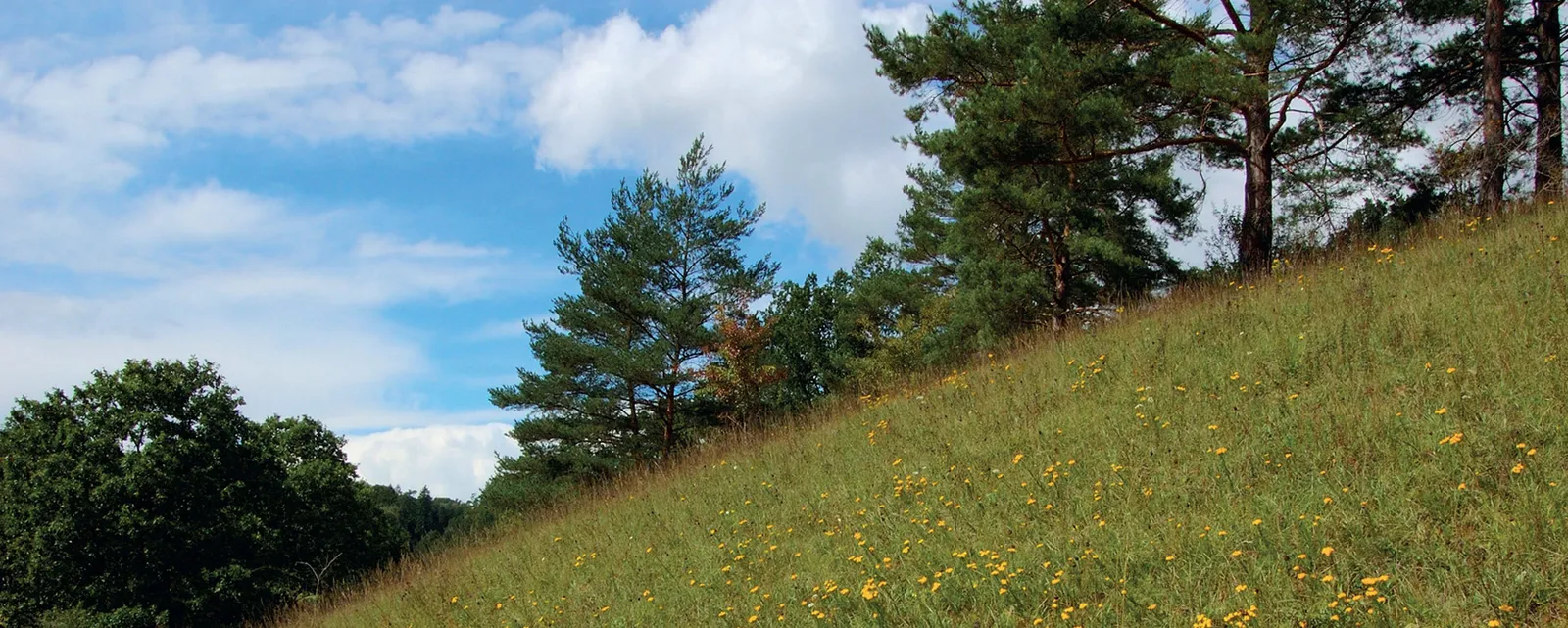 Stránka_012_PP Deštenské pastviny 2