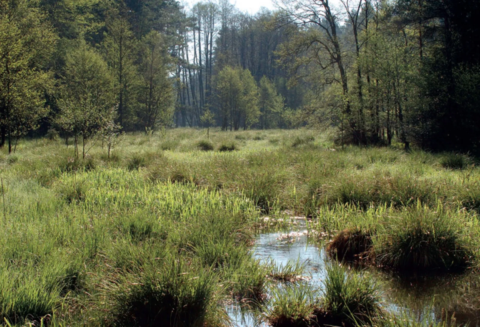 Stránka_013_PR Hradčanské rybníky 2