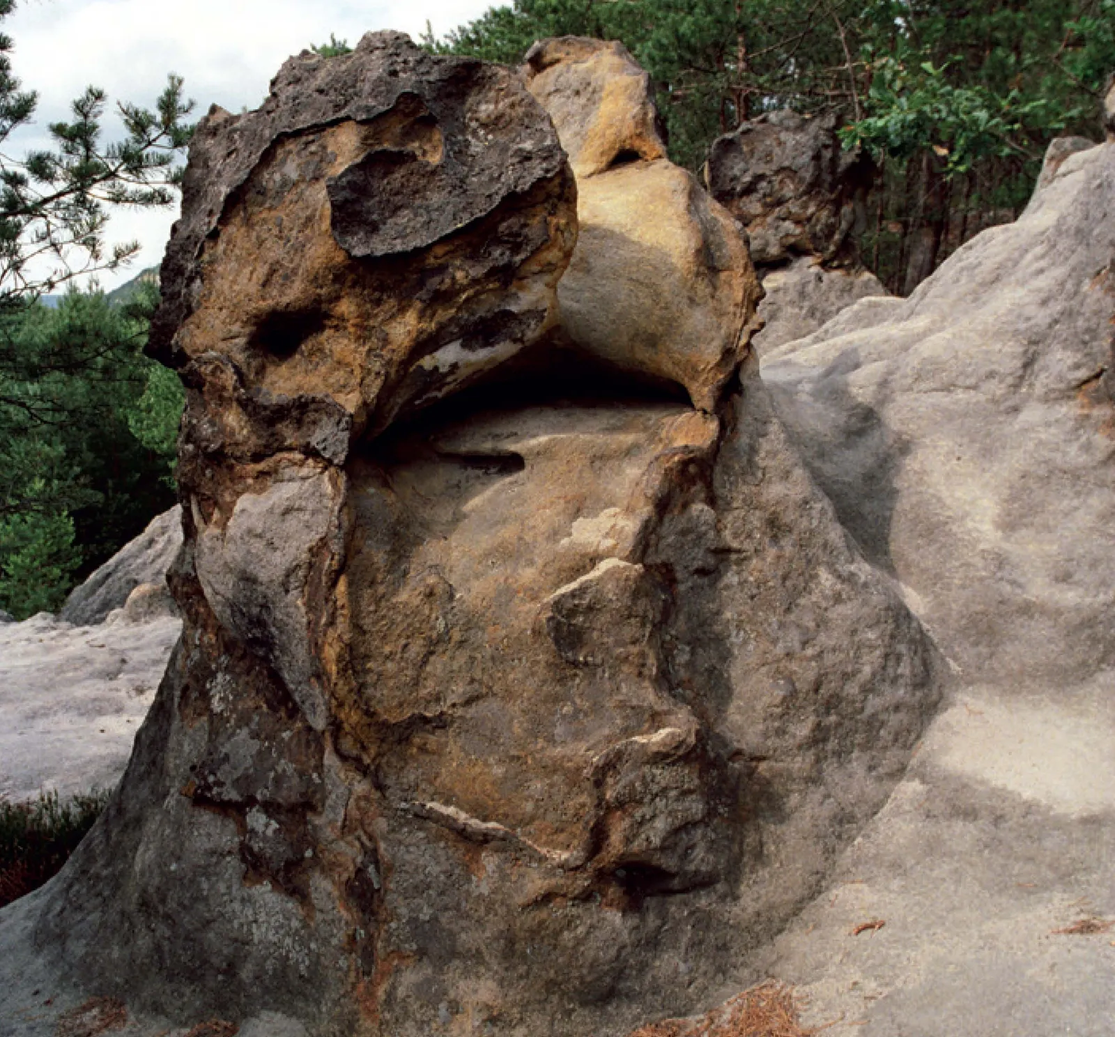 Stránka_014_PP Husa 1