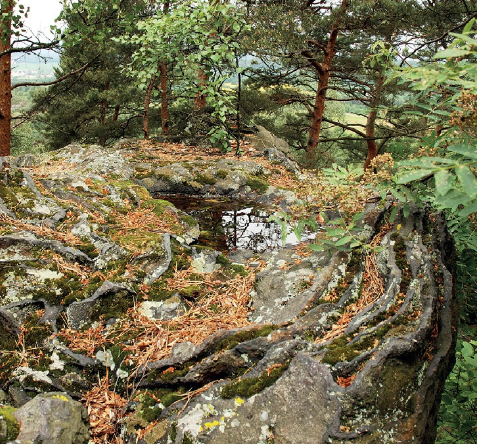 Stránka_016 Kamenný vrch u Křenova 1