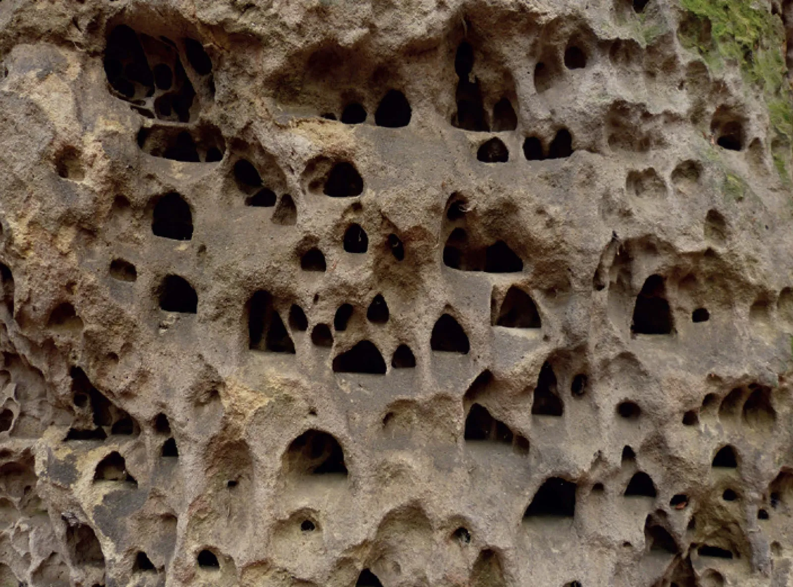 Stránka_017 Kokorinsky dul 1