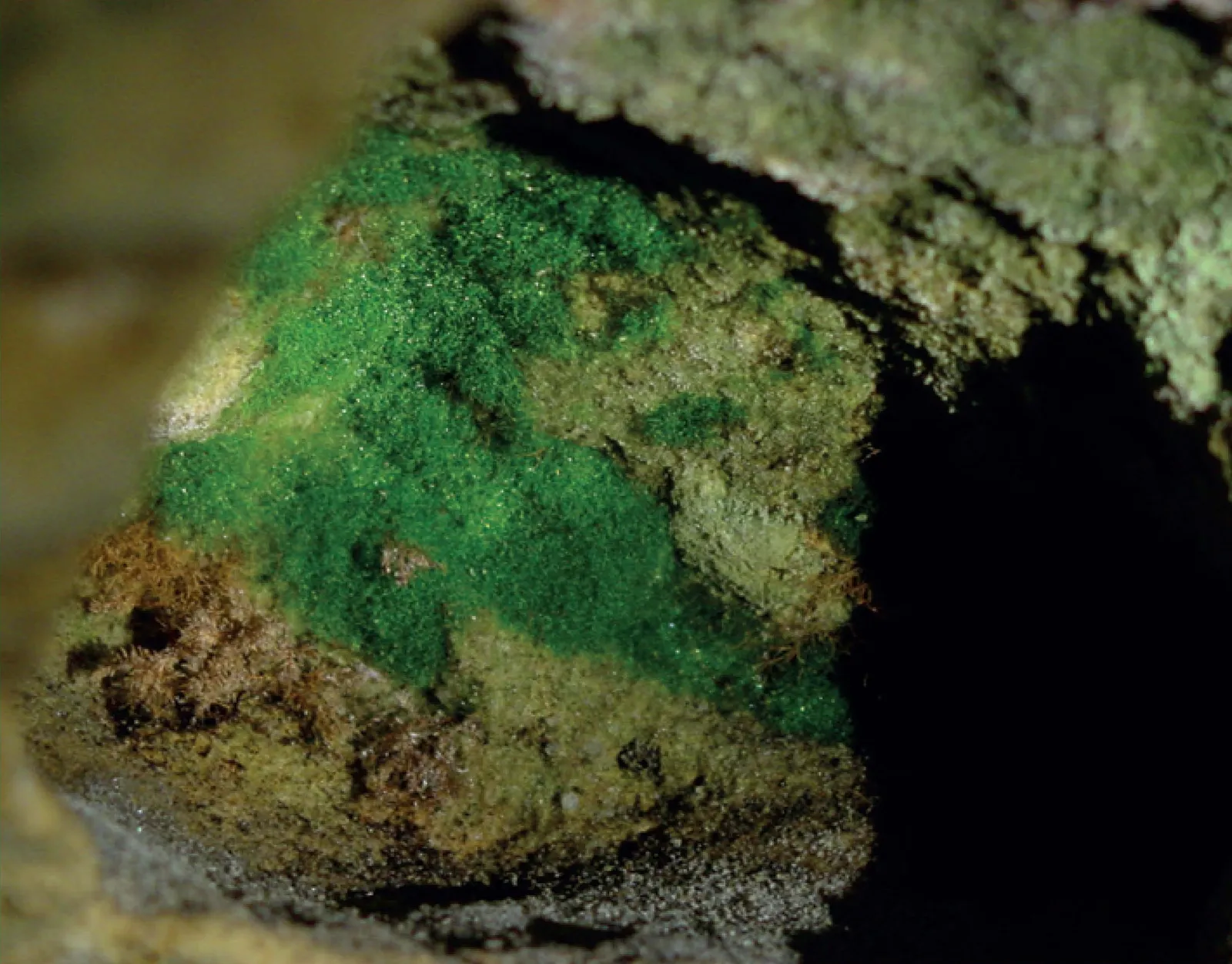 Stránka_018 Kostelecké bory 1