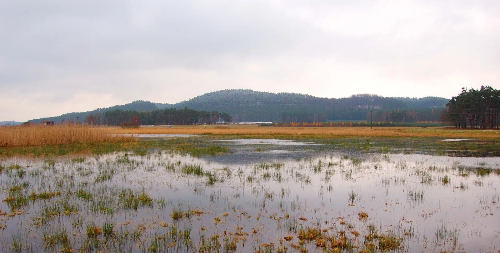 Stránka_021 Novozamecky rybnik 1