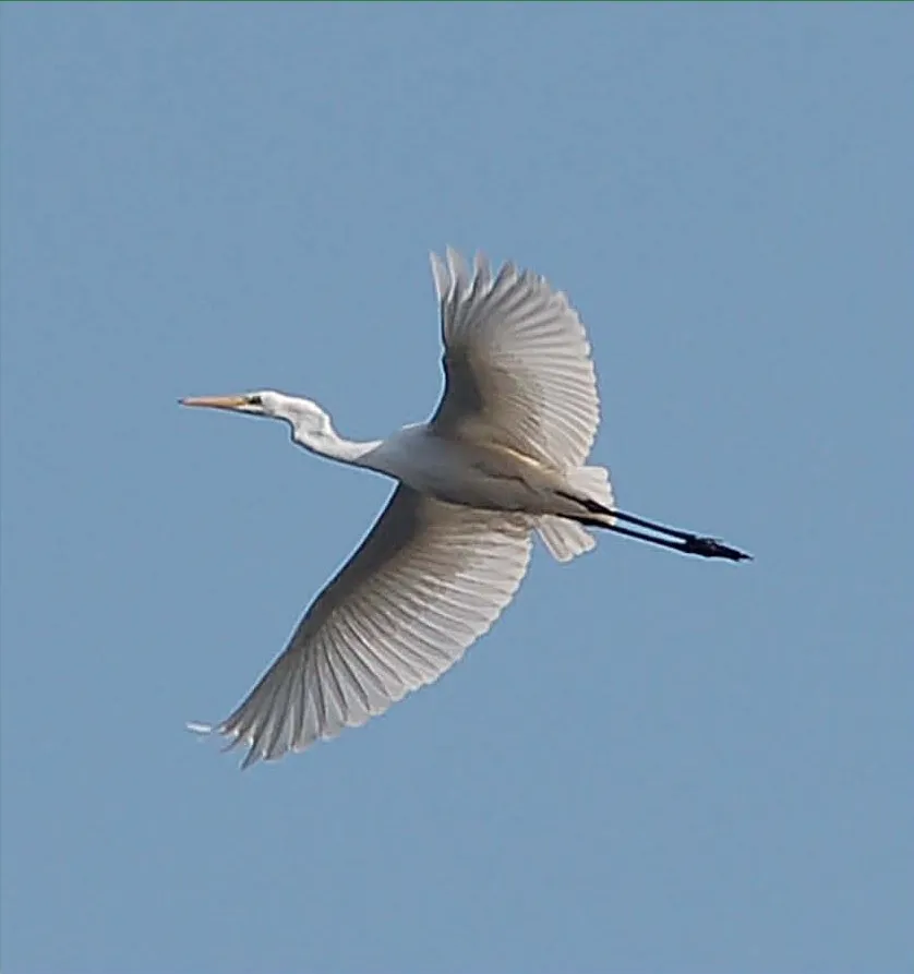 Stránka_021 Novozamecky rybnik 2_2