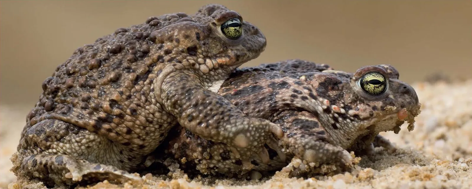 Stránka_021 Novozamecky rybnik 2_3