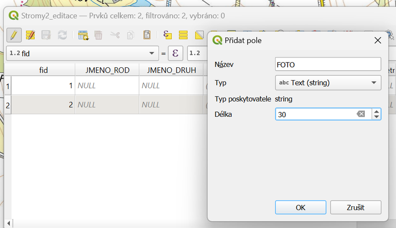 qgis-nove-pole-form